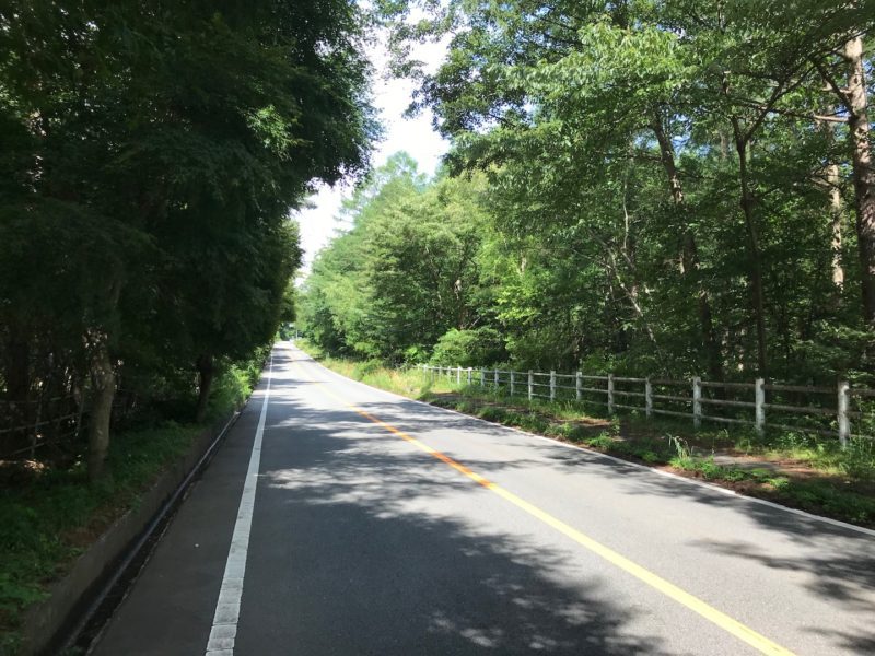 サイクリングマップ コース サイクルショップエンドウ開成店 足柄上郡 小田原市 秦野市